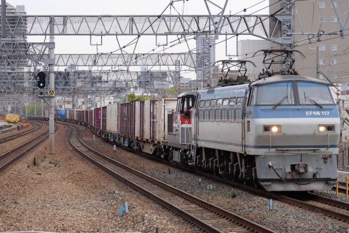 JR貨物 国鉄EF66形電気機関車 EF66 117 鉄道フォト・写真 by ごくさん 摩耶駅：2023年04月05日12時ごろ