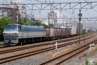 JR貨物 国鉄EF66形電気機関車 EF66 119 鉄道フォト・写真 by ごくさん 東淀川駅：2023年05月17日11時ごろ