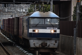 JR貨物 EF210形 EF210-114 鉄道フォト・写真 by ごくさん 島本駅：2020年01月24日12時ごろ