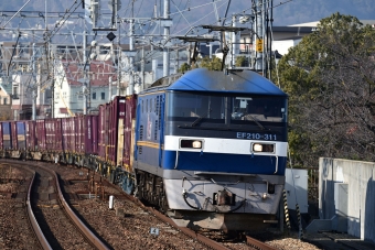 JR貨物 EF210形 EF210-311 鉄道フォト・写真 by ごくさん さくら夙川駅：2020年12月22日10時ごろ