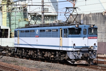 JR貨物 国鉄EF65形電気機関車 EF65-2117 鉄道フォト・写真 by ごくさん 向日町駅：2021年03月19日13時ごろ