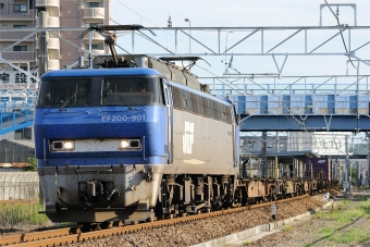 JR貨物 EF200形 EF200-901 鉄道フォト・写真 by マンボーグレイさん ：2012年09月09日16時ごろ