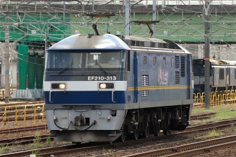 JR貨物 EF210形 EF210-313 鉄道フォト・写真 by マンボーグレイさん 稲沢駅：2021年09月05日10時ごろ