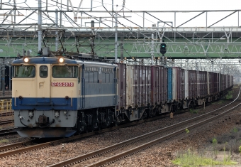 JR貨物 EF65 鉄道フォト・写真 by マンボーグレイさん 稲沢駅：2021年09月05日11時ごろ