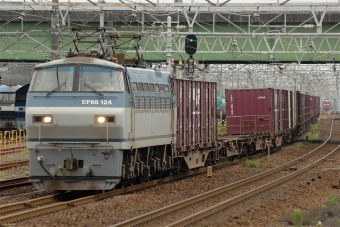 JR貨物 EF66 124 鉄道フォト・写真 by マンボーグレイさん 稲沢駅：2021年09月20日12時ごろ