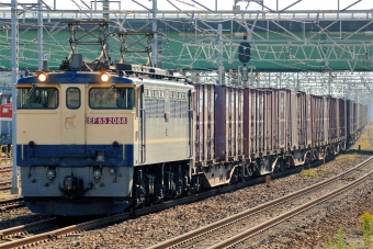 JR貨物 国鉄EF65形電気機関車 EF65 2088 鉄道フォト・写真 by マンボーグレイさん 稲沢駅：2021年11月07日11時ごろ