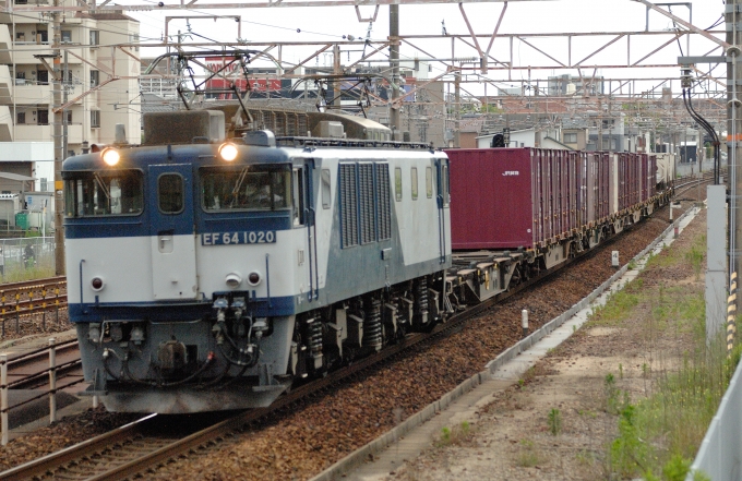 JR貨物 国鉄EF64形電気機関車 EF64 鉄道フォト・写真 by マンボーグレイさん 共和駅：2022年05月30日17時ごろ