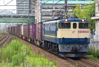JR貨物 国鉄EF65形電気機関車 EF65 2080 鉄道フォト・写真 by マンボーグレイさん ：2022年07月30日11時ごろ
