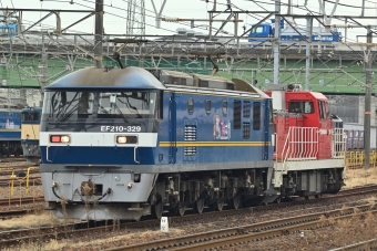JR貨物 EF210形 EF210-329 鉄道フォト・写真 by マンボーグレイさん 稲沢駅：2023年01月23日10時ごろ
