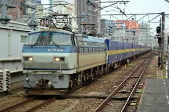 JR貨物 EF66 100 EF66 116 鉄道フォト・写真 by マンボーグレイさん 名古屋駅 (JR)：2019年07月13日12時ごろ