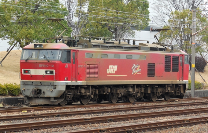 JR貨物 EF510形 EF510-19 鉄道フォト・写真 by マンボーグレイさん 大府駅：2024年02月18日15時ごろ