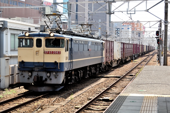 鉄道フォト・写真：JR貨物 国鉄EF65形電気機関車 EF65 2083 名古屋駅 (JR) 鉄道フォト・写真 by マンボーグレイさん - 撮影日 2024/07/07 11:08