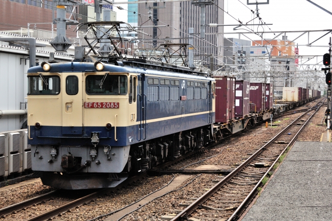 鉄道フォト・写真：JR貨物 国鉄EF65形電気機関車 EF652085 名古屋駅 (JR) 鉄道フォト・写真 by マンボーグレイさん - 撮影日 2024/07/13 11:07