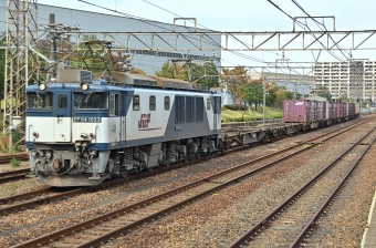 JR貨物 国鉄EF64形電気機関車 EF641023 鉄道フォト・写真 by マンボーグレイさん 大府駅：2014年11月08日11時ごろ