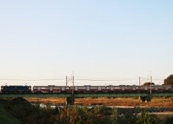JR貨物 国鉄EF65形電気機関車 EF65-2084 鉄道フォト・写真 by はまかいじさん 八王子駅：2021年10月30日15時ごろ