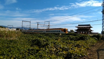 近畿日本鉄道 鉄道フォト・写真 by myamagi1さん 大和西大寺駅：2021年10月24日13時ごろ
