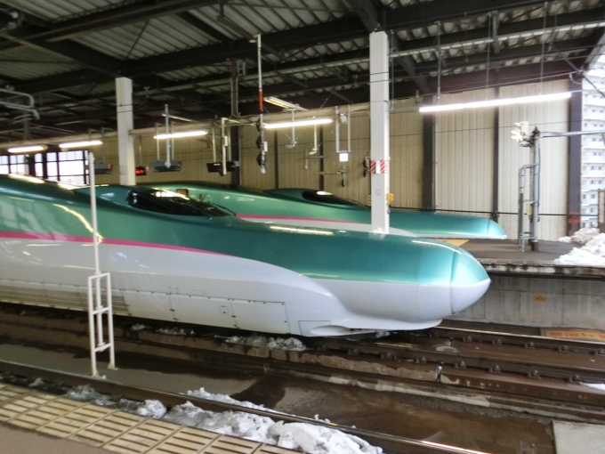 JR東日本 E523形(T1c) はやぶさ(新幹線) E523-23 鉄道フォト・写真 by 駅そば　釜石線乗車回数500回目指すさん ：2021年01月16日07時ごろ