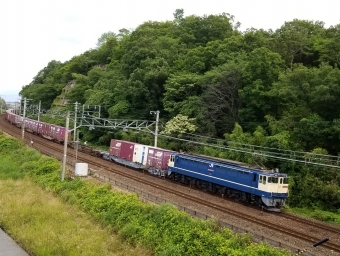 JR貨物 国鉄EF65形電気機関車 鉄道フォト・写真 by 8558さん ：2020年06月21日12時ごろ