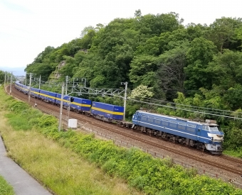 JR貨物 国鉄EF66形電気機関車 カンガルー 鉄道フォト・写真 by 8558さん ：2020年06月21日14時ごろ