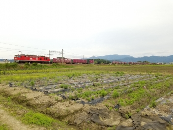 JR貨物 EF510形電気機関車 鉄道フォト・写真 by 8558さん ：2020年06月21日16時ごろ