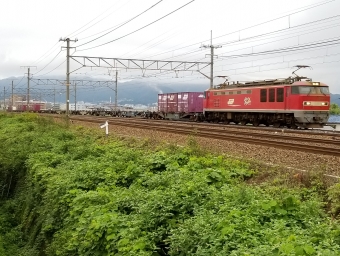 JR貨物 EF510形電気機関車 鉄道フォト・写真 by 8558さん ：2020年07月05日06時ごろ
