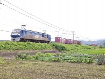 JR貨物EF210形電気機関車 鉄道フォト・写真 by 8558さん 醒ケ井駅：2020年07月05日10時ごろ