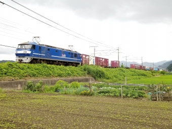 JR貨物EF210形電気機関車 鉄道フォト・写真 by 8558さん ：2020年07月05日11時ごろ