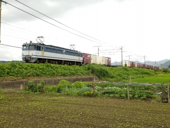 JR貨物 国鉄EF65形電気機関車 鉄道フォト・写真 by 8558さん ：2020年07月05日12時ごろ