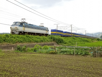 JR貨物 鉄道フォト・写真 by 8558さん ：2020年07月05日14時ごろ