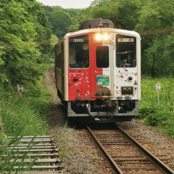 JR北海道 鉄道フォト・写真 by さくらいさん 釧路湿原駅：2021年07月03日09時ごろ