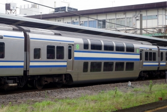 JR東日本 サロE216形 サロE216-17 鉄道フォト・写真 by バス親父さん 五井駅 (JR)：2020年07月05日11時ごろ