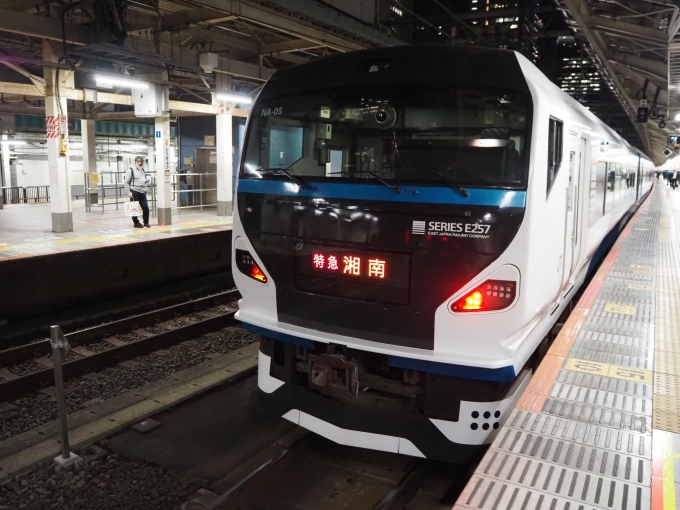 鉄道フォト・写真：JR東日本E257系電車 湘南 クハE256-2006 東京駅 (JR) 鉄道フォト・写真 by red02reds☆★★★さん - 撮影日 2021/11/08 19:49