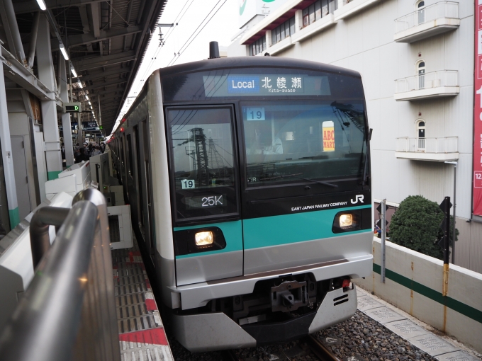 鉄道フォト・写真：JR東日本E233系電車 クハE233-2019 綾瀬駅 (東京メトロ) 鉄道フォト・写真 by red02reds☆★★★さん - 撮影日 2021/11/18 13:44