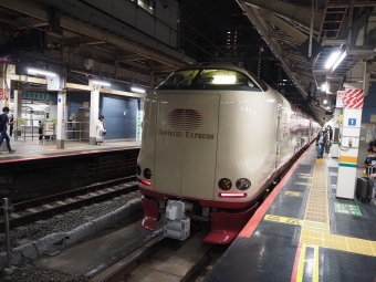 JR東海 クハネ285形 サンライズ瀬戸(特急) クハネ285-3002 鉄道フォト・写真 by red02reds☆★★★さん 東京駅 (JR)：2022年10月15日21時ごろ