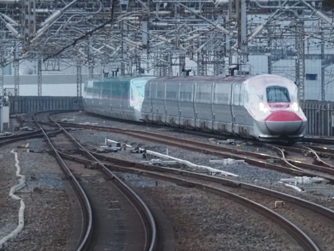 E6系新幹線 Z16編成 (秋田総合車両センター 南秋田センター/秋田新幹線