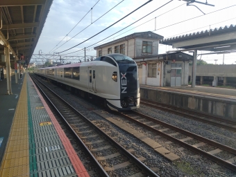 JR東日本 クロE259形 クロE259-6 鉄道フォト・写真 by red02reds☆★★★さん 成田駅：2021年05月25日17時ごろ