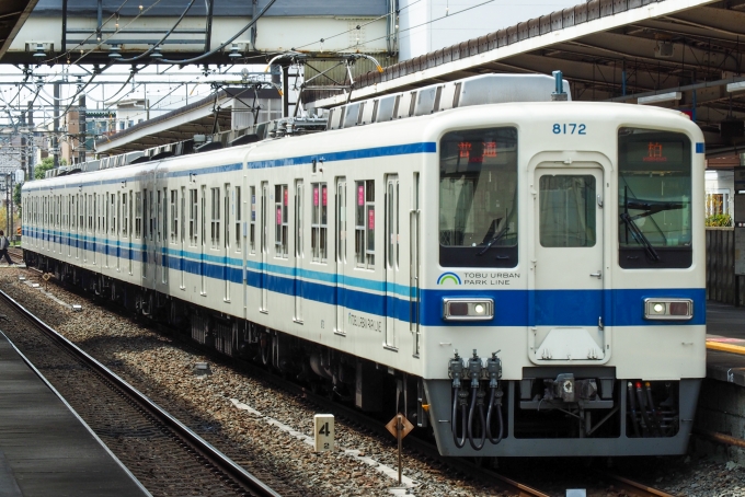 鉄道フォト・写真：東武鉄道 東武8000系電車 クハ8172 大宮公園駅 鉄道フォト・写真 by ましゅまろと～すとさん - 撮影日 2022/03/31 12:31