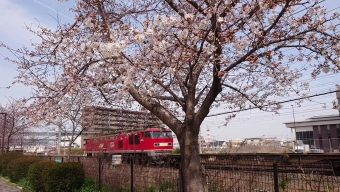 JR貨物 EF510形 EF510-7 鉄道フォト・写真 by やっちゃんさん 茨木駅：2020年03月26日14時ごろ
