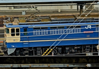JR貨物 国鉄EF65形電気機関車 鉄道フォト・写真 by 福鉄撮影記さん 京都駅 (JR)：2022年04月24日13時ごろ