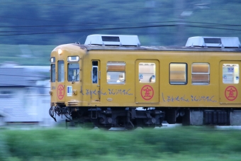 高松琴平電気鉄道1200形電車 1205 鉄道フォト・写真 by North.ynさん 畑田駅：2021年07月06日19時ごろ