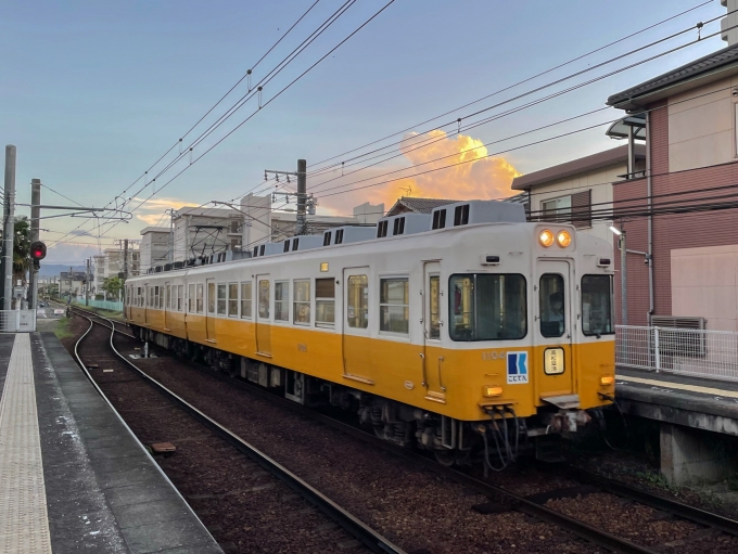 新作グッ 本日限定値下げ 高松琴平電鉄 琴電 1100 1/80(HO) 鉄道模型