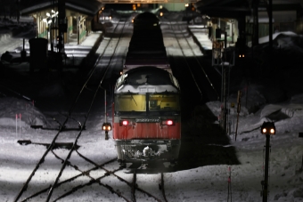 JR貨物 DF200形 タマネギ列車 DF200-103 鉄道フォト・写真 by North.ynさん 遠軽駅：2022年01月28日20時ごろ