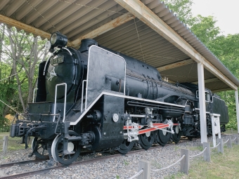 国鉄D51形蒸気機関車 D51 95 鉄道フォト・写真 by North.ynさん 新得駅：2020年06月13日16時ごろ