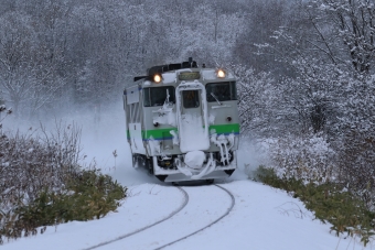JR北海道 キハ40形 なよろ(快速) キハ40 732 鉄道フォト・写真 by North.ynさん 東風連駅：2020年12月13日14時ごろ