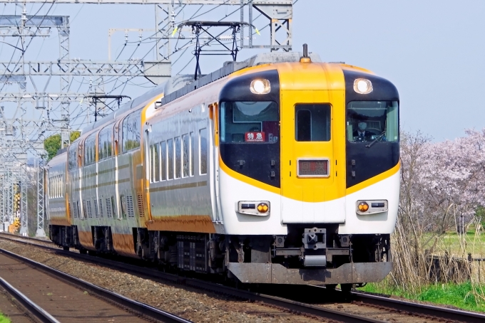 鉄道フォト・写真：近畿日本鉄道 近鉄30000系電車 新大宮駅 鉄道フォト・写真 by VISTAEXさん - 撮影日 2024/04/11 08:26