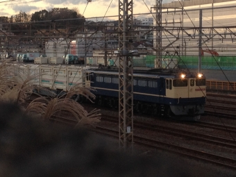 JR貨物 国鉄EF65形電気機関車 鉄道フォト・写真 by にわか狐さん ：2020年12月31日16時ごろ