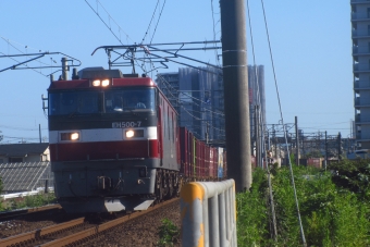 JR貨物 EH500形 EH500-7 鉄道フォト・写真 by 仙かつさん 南仙台駅：2020年08月28日00時ごろ