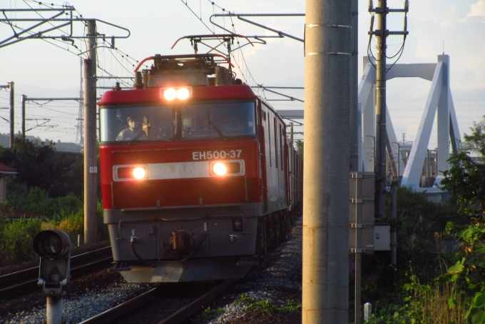 JR貨物 EH500形 EH500-37 鉄道フォト・写真 by 仙かつさん 南仙台駅：2020年09月08日17時ごろ