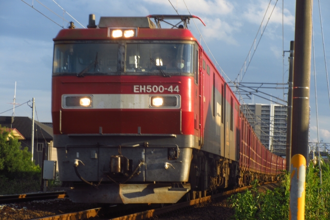JR貨物 EH500形 EH500-44 鉄道フォト・写真 by 仙かつさん 南仙台駅：2020年09月19日16時ごろ