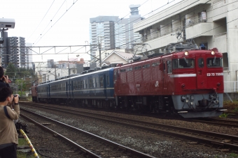 JR東日本 ED75-759 鉄道フォト・写真 by 仙かつさん 仙台駅 (JR)：2020年10月25日12時ごろ